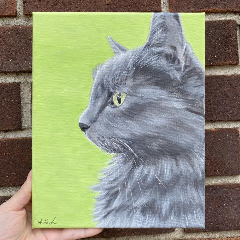 gray cat on canvas