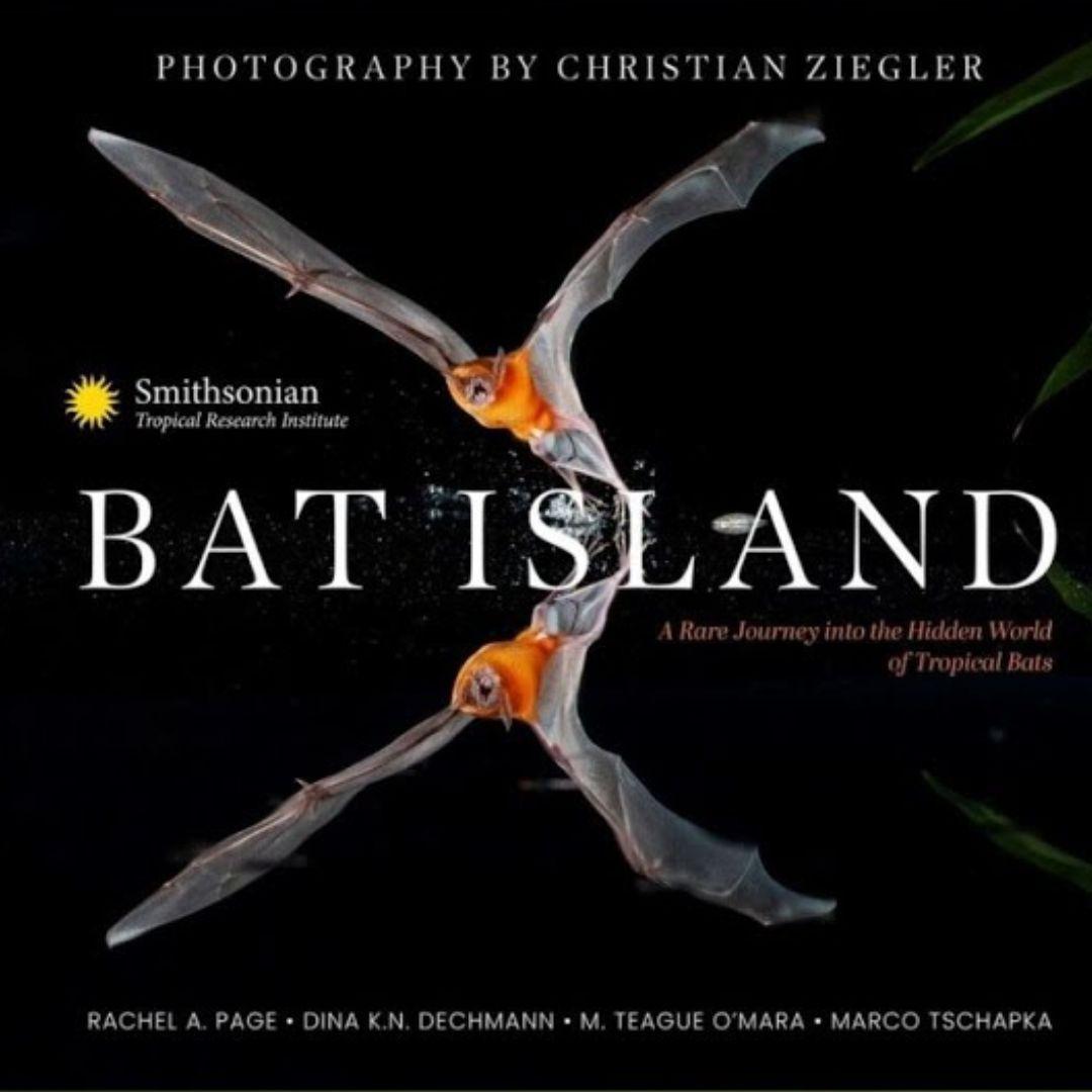 Cover of the book Bat Island