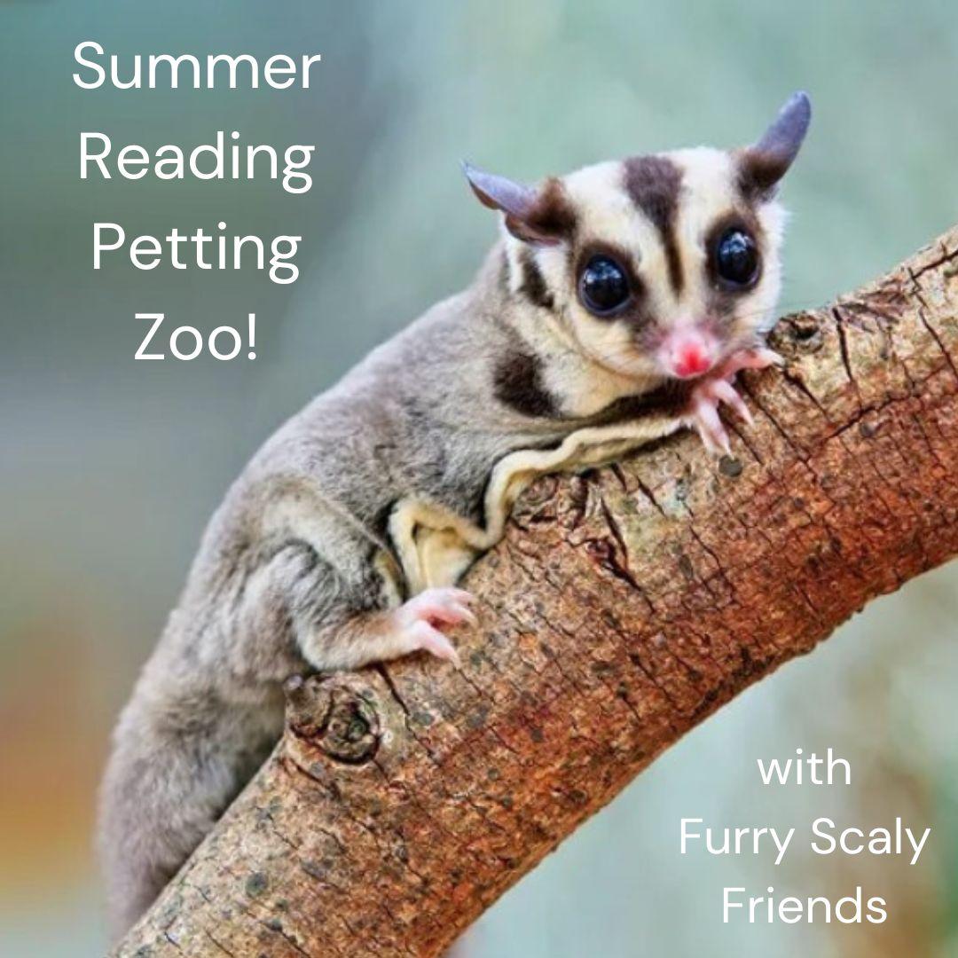 Sugar Glider with Summer Reading Petting Zoo Scaly Friends text